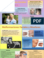 Patologias Facial y Maxilar