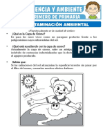 La Contaminacion Ambiental para Primero de Primaria