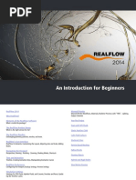 RealFlow Beginners Guide Downloadable PD