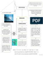 Mapa Conceptual - Dignidad Humana - David Monge