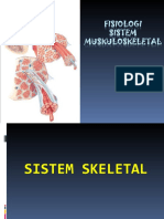 Fisiologi Sistem Muskuloskeletal