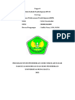RPP IPS (20-005) Selvi Gusrizalni (1)