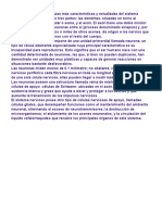 Las Neuronas Son Las Células Más Características y Estudiadas Del Sistema Nervioso