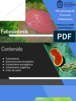 Fotosíntesis