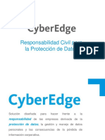 Presentación Final CyberEdge AIG