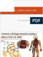 Sistemul Cardio-Vascular: Prof. Dr. Morari Evelina-Cristina