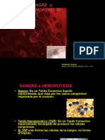 Sangre y Hemopoyesis