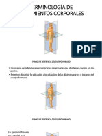 Planos del cuerpo y movimientos musculares