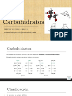 Ayudantía Extra S3 - Carbohidratos