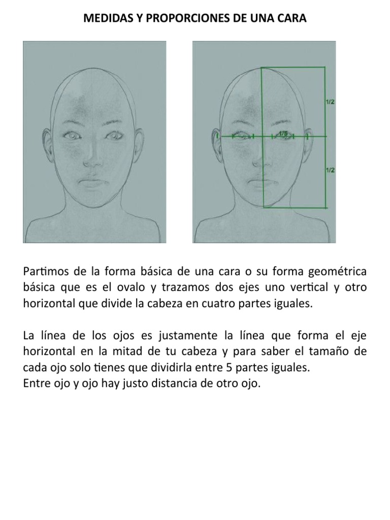 Proporciones y Medidas del Rostro | PDF | Cara | Ojo