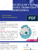 El Nucleo Celular