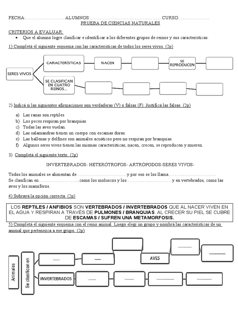 Evaluación de Seres Vivos 4to Grado | PDF | Libros para adolescentes