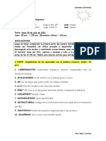 Prueba Semestral de Bioqu¡mica