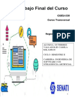 Cgeu-238 Trabajofinal