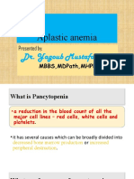 Aplastic Anemia