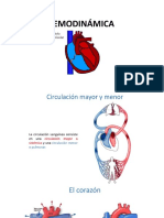 Hemodinamica