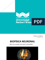 Biofisica Neuronal