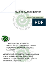 Metabolismo de Carbohidratos