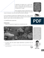Ecología Clase PDF