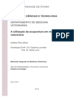 Mestrado - Medicina Veterinária - Isabela Pires Glória - A Utilização Da Acupuntura Em Medicina Veterinária (1)