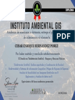 Certificado Gis