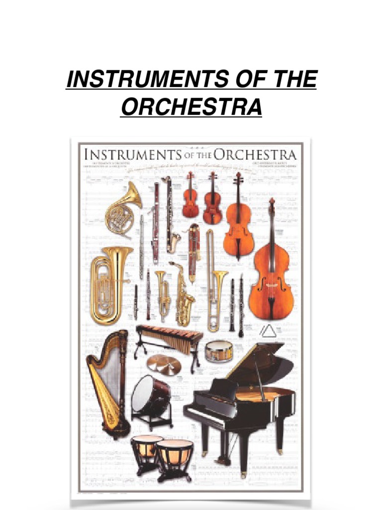 Overview of Orchestra Instrument Families | PDF | String Instruments ...