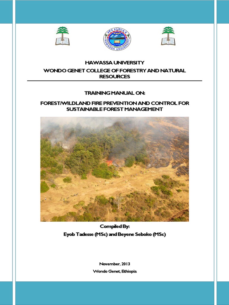 Forest Fire Prevention Strategies in Ethiopia | PDF | Fires | Heat Transfer