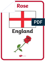 t2 G 023 Flowers of Britain and Ireland Display Posters With Flags - Ver - 4