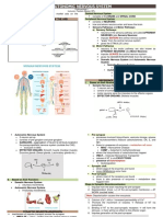 Autonomic Pharmacology - Reviewer