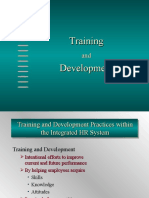 Training and Development Practices within HR