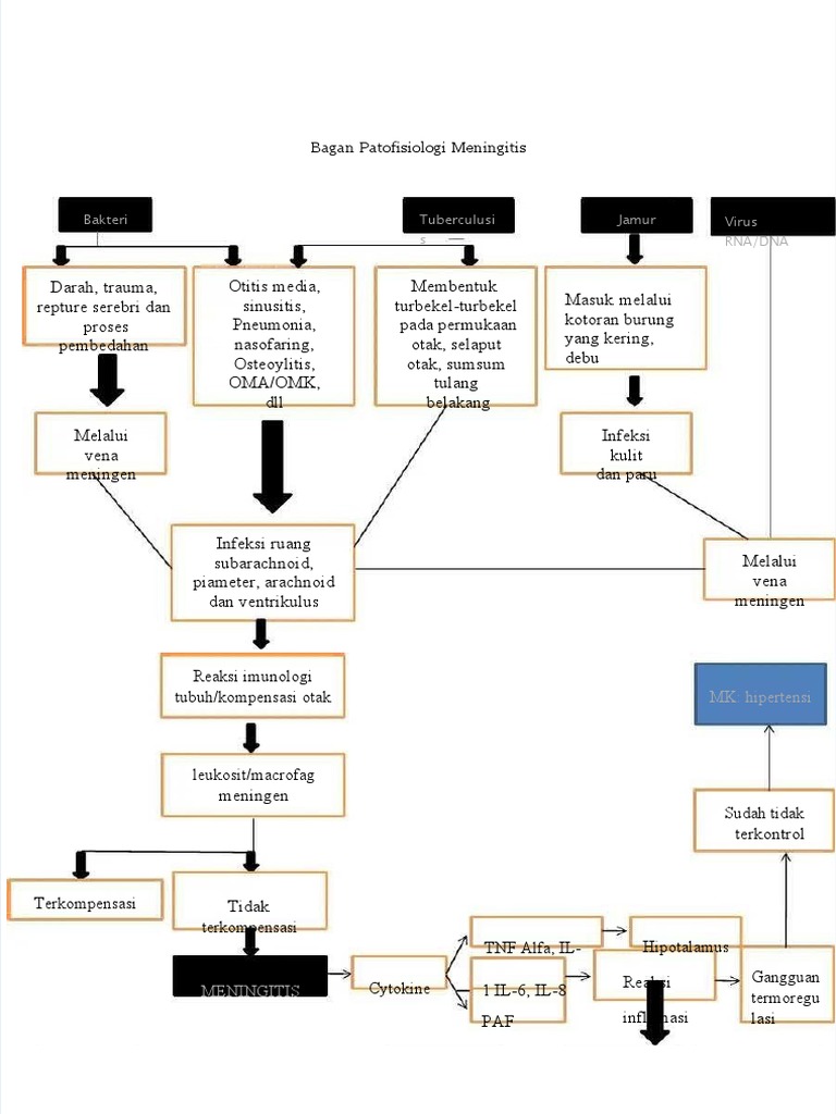 Patofisiologi Meningitis dan Dampaknya | PDF