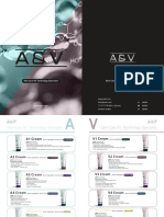 A & V :Professional Customer Brochure