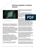 Scientists Identify Key Regulator of Malaria Parasite Transmission