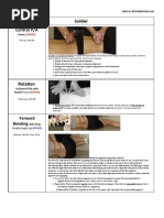 Butler Neural Mobilization Techniques | PDF | Anatomical Terms Of ...