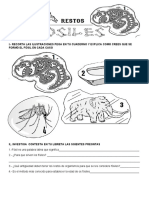 Acividad Fosiles