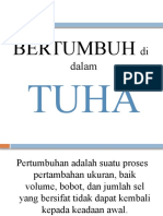 Bertumbuh Dalam Tuhan