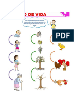 CICLO DE VIDA