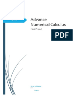 Advance Numerical Calculus: Final Project