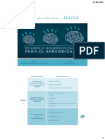 Desarrollo Neuropsicológico - Clase 2