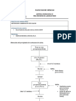 Obtencion de Carbonato de Calcio 1
