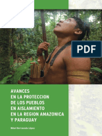 Avances en La Protección de Los PIACI en La Región Amazonica y Paraguay.