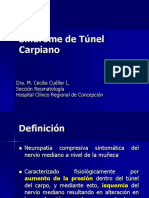 Tunel Carpiano