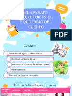 El aparato excretor y su importancia en el equilibrio corporal