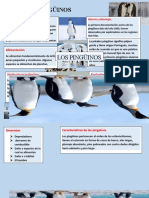 Folleto Los Pinguinos