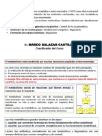 OVA TEORÍA MicPar - SEM 05. Metabolismo