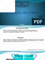 Yeinson Tumors Del Cuello Diapositiva Arreglada