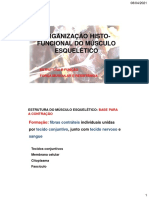 Fisiologia das fibras musculares esqueléticas