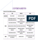 Programa de Entrenamiento