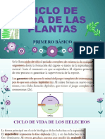 Ciclo de La Vida de Las Plantas 