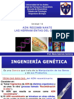 Unidad 14 ADN Recombinante Las Herramientas Del Oficio